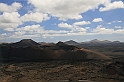 Kanary_2010 139